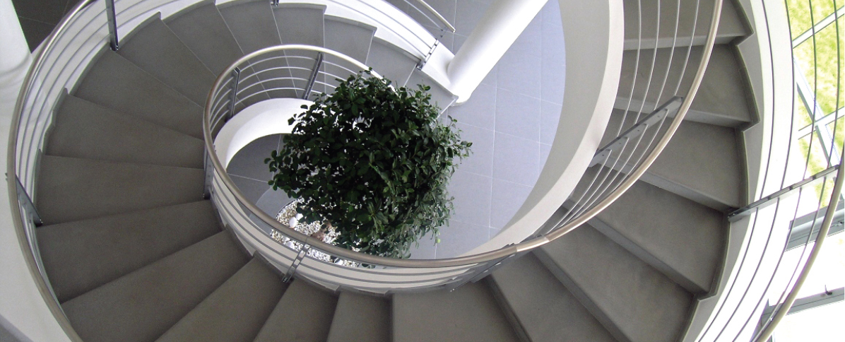 Alma Stand - Azienda Alma Stand - Azienda